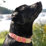 Macrame Dog Collar