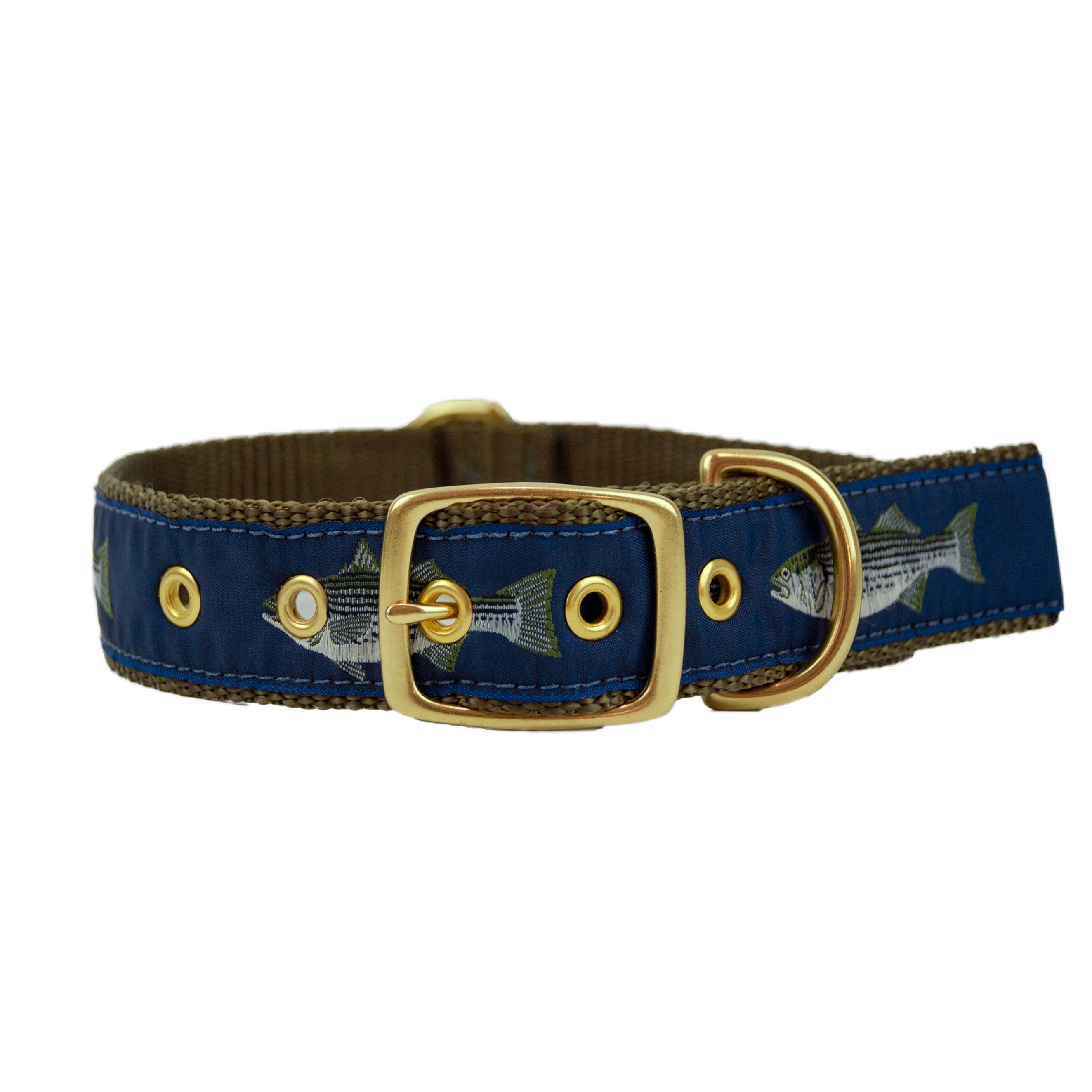 fish dog collar